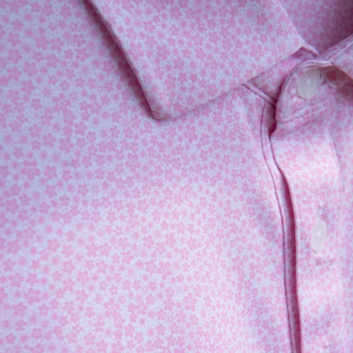 The Hampton Polo