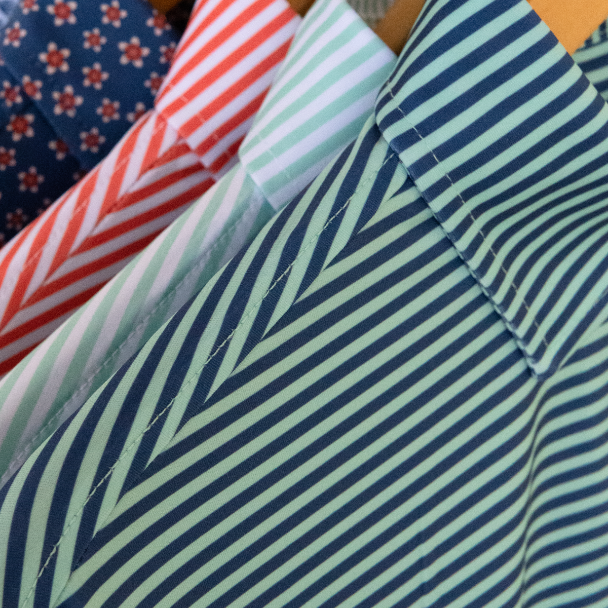 The Jackson Polo